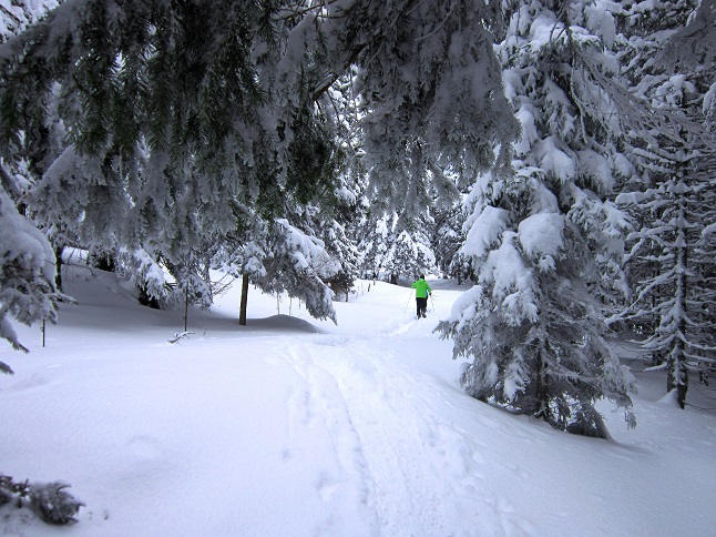 Foto: Andreas Koller / Schneeschuhtour / Schneeschuhwandern am Arabichl (1595m) / 26.03.2021 21:43:06