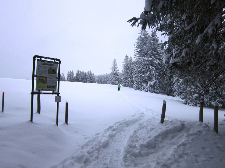 Foto: Andreas Koller / Schneeschuhtour / Schneeschuhwandern am Arabichl (1595m) / 26.03.2021 21:43:00