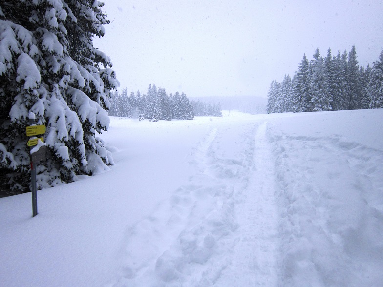 Foto: Andreas Koller / Schneeschuhtour / Schneeschuhwandern am Arabichl (1595m) / 26.03.2021 21:42:53