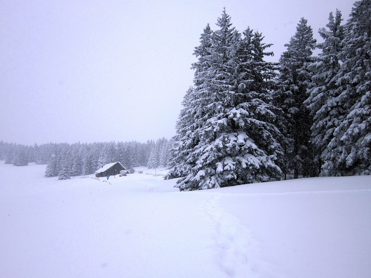 Foto: Andreas Koller / Schneeschuhtour / Schneeschuhwandern am Arabichl (1595m) / 26.03.2021 21:42:26