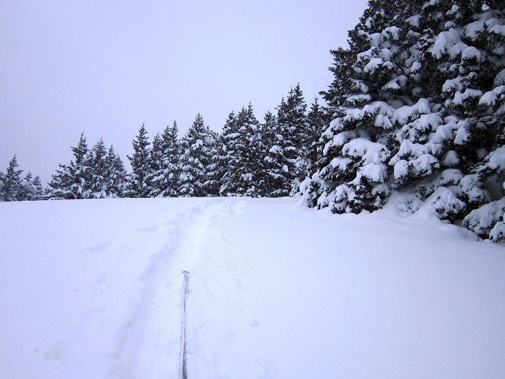 Foto: Andreas Koller / Schneeschuhtour / Schneeschuhwandern am Arabichl (1595m) / 26.03.2021 21:42:02