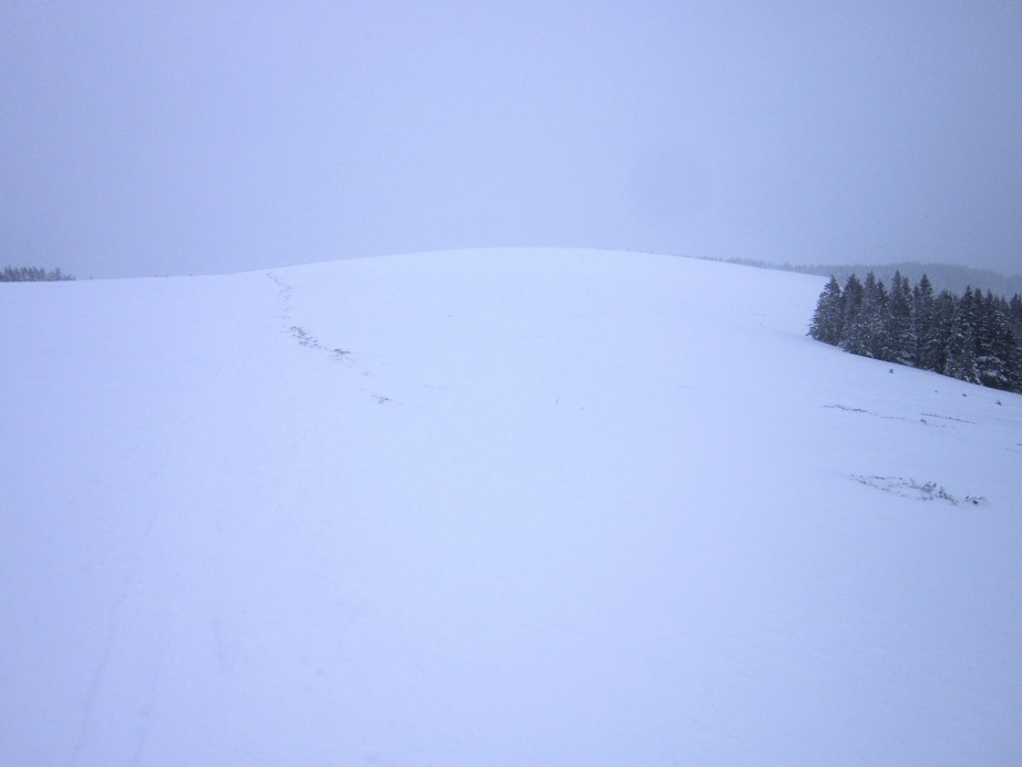 Foto: Andreas Koller / Schneeschuhtour / Schneeschuhwandern am Arabichl (1595m) / Sanfte Hänge zum Arabichl / 26.03.2021 21:41:51