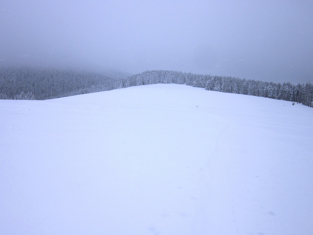 Foto: Andreas Koller / Schneeschuhtour / Schneeschuhwandern am Arabichl (1595m) / Abstieg vom Arabichl / 26.03.2021 21:40:41