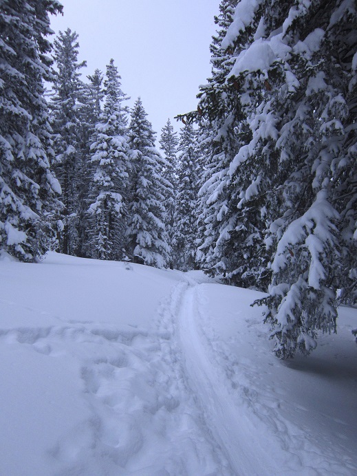 Foto: Andreas Koller / Schneeschuhtour / Schneeschuhwandern am Arabichl (1595m) / 26.03.2021 21:39:58