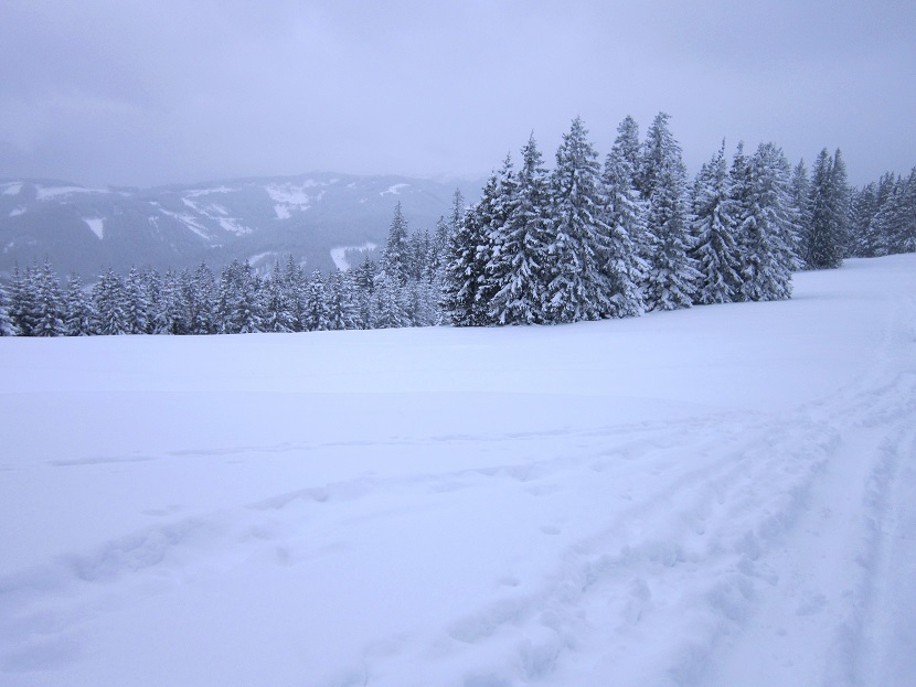 Foto: Andreas Koller / Schneeschuhtour / Schneeschuhwandern am Arabichl (1595m) / 26.03.2021 21:39:45