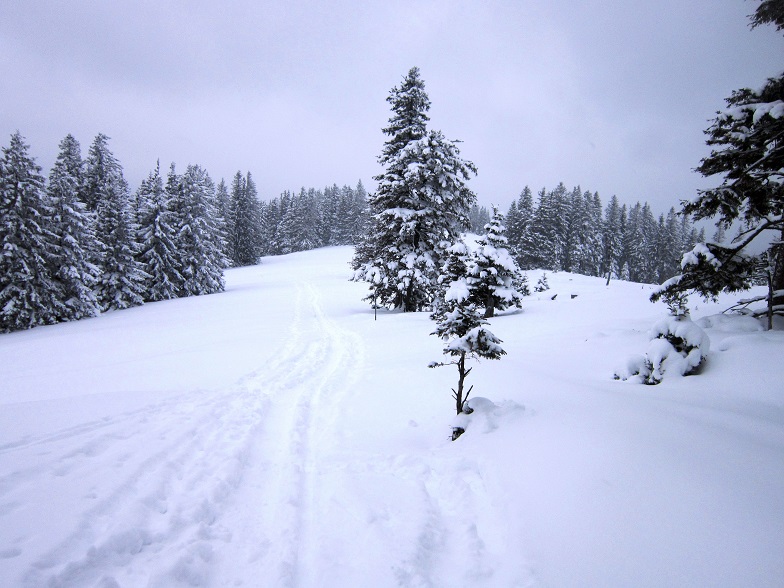 Foto: Andreas Koller / Schneeschuhtour / Schneeschuhwandern am Arabichl (1595m) / 26.03.2021 21:39:36