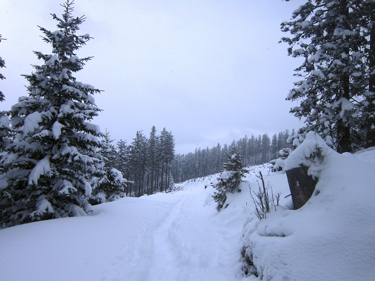 Foto: Andreas Koller / Schneeschuhtour / Schneeschuhwandern am Arabichl (1595m) / 26.03.2021 21:39:03