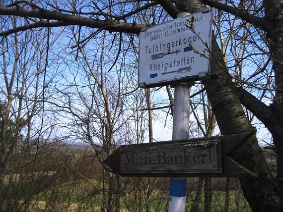Foto: Andreas Koller / Wandertour / Am Planetenweg zur Leopold-Figl-Warte am Tulbingerkogel (495m) / 07.04.2021 15:07:18
