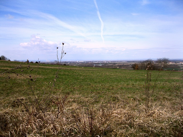 Foto: Andreas Koller / Wandertour / Am Planetenweg zur Leopold-Figl-Warte am Tulbingerkogel (495m) / 07.04.2021 15:07:13