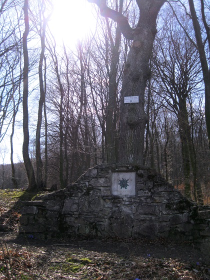Foto: Andreas Koller / Wandertour / Am Planetenweg zur Leopold-Figl-Warte am Tulbingerkogel (495m) / 07.04.2021 15:06:54