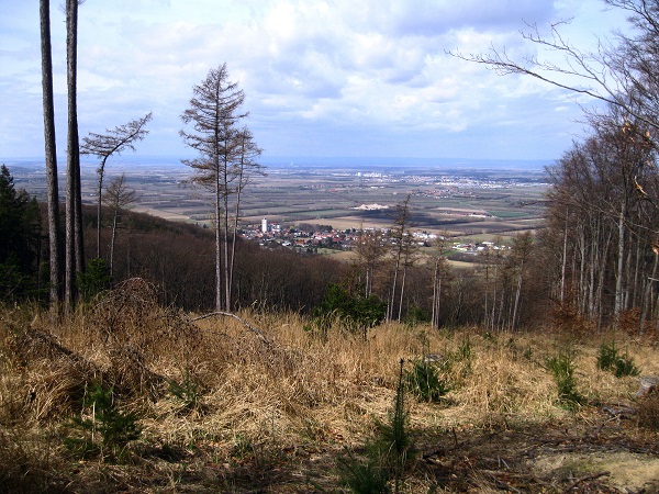 Foto: Andreas Koller / Wandertour / Am Planetenweg zur Leopold-Figl-Warte am Tulbingerkogel (495m) / 07.04.2021 15:06:39