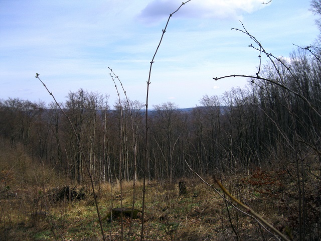 Foto: Andreas Koller / Wandertour / Am Planetenweg zur Leopold-Figl-Warte am Tulbingerkogel (495m) / 07.04.2021 15:06:25