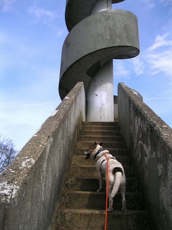 Foto: Andreas Koller / Wandertour / Am Planetenweg zur Leopold-Figl-Warte am Tulbingerkogel (495m) / Finaler Anstieg auf die Leopold-Figl-Warte / 07.04.2021 15:05:29