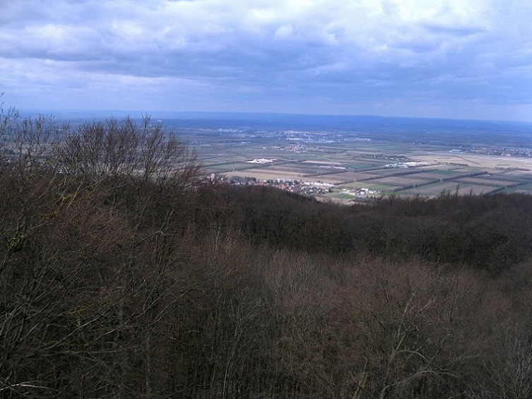 Foto: Andreas Koller / Wandertour / Am Planetenweg zur Leopold-Figl-Warte am Tulbingerkogel (495m) / 07.04.2021 15:05:08