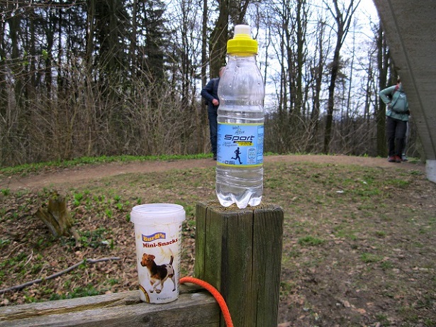 Foto: Andreas Koller / Wandertour / Am Planetenweg zur Leopold-Figl-Warte am Tulbingerkogel (495m) / 07.04.2021 15:04:00