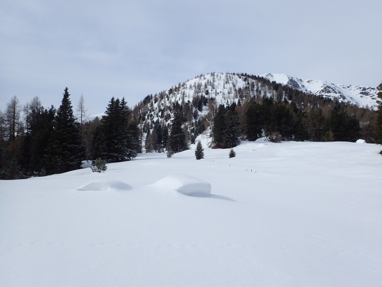 Foto: Manfred Karl / Skitour / Wintertalernock, 2394 m / Variante Blumbühel / 19.04.2021 07:01:42