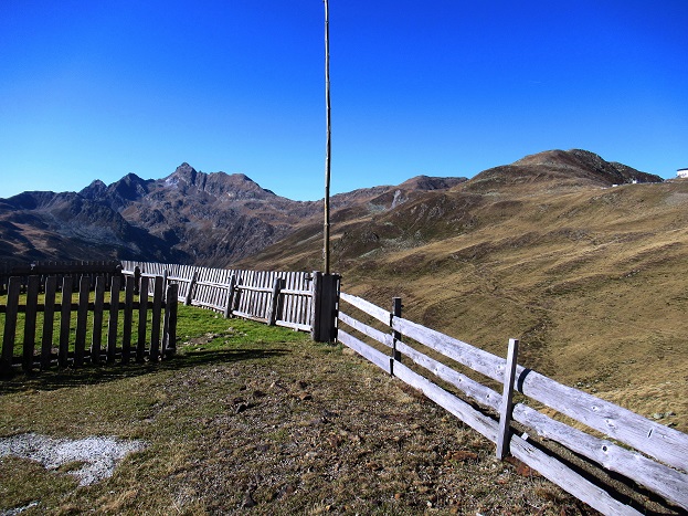 Foto: Andreas Koller / Wandertour / Große Aussicht von der Tatschspitze (2526m) / Von der Penser Joch Alm auf die Tatschspitze / 22.04.2021 22:08:43