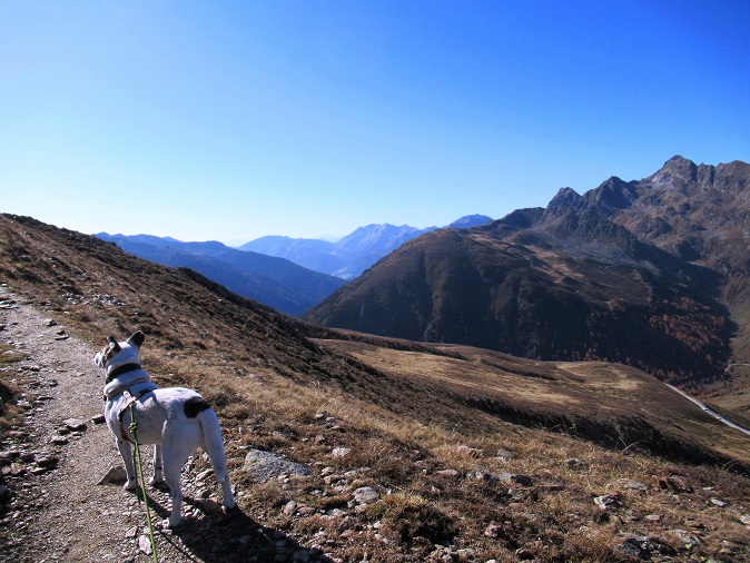 Foto: Andreas Koller / Wandertour / Große Aussicht von der Tatschspitze (2526m) / 22.04.2021 22:07:59
