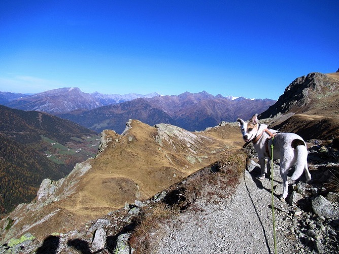 Foto: Andreas Koller / Wandertour / Große Aussicht von der Tatschspitze (2526m) / 22.04.2021 22:07:12