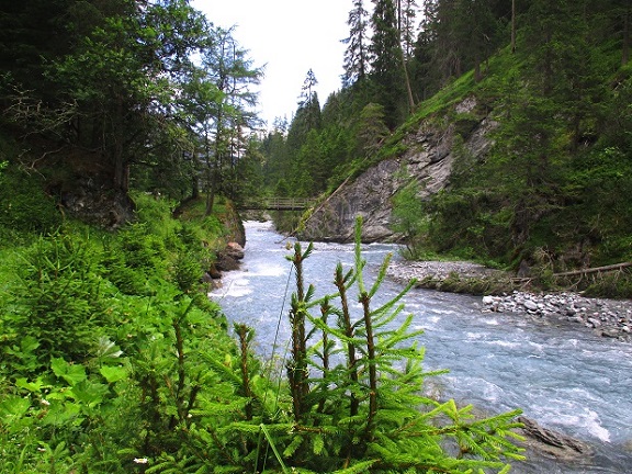 Foto: Andreas Koller / Klettersteigtour / Klettersteig Trafoi (1575m) / Trafoier Bach / 02.05.2021 23:34:42