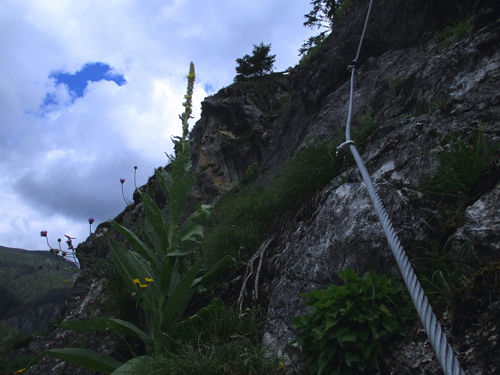 Foto: Andreas Koller / Klettersteigtour / Klettersteig Trafoi (1575m) / 02.05.2021 23:32:52