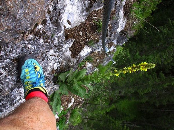 Foto: Andreas Koller / Klettersteigtour / Klettersteig Trafoi (1575m) / 02.05.2021 23:32:43