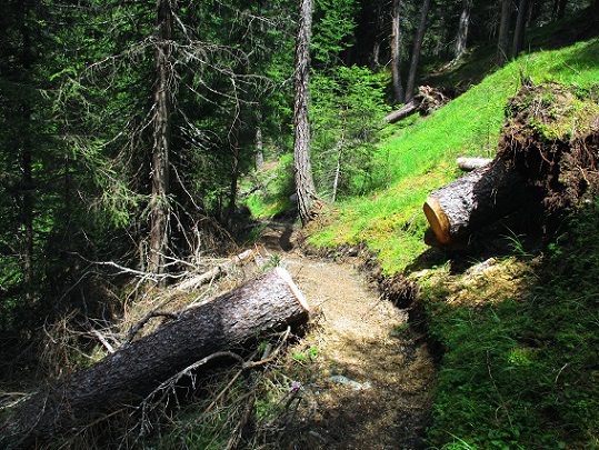 Foto: Andreas Koller / Klettersteigtour / Klettersteig Trafoi (1575m) / Schöner Rückweg nach Trafoi / 02.05.2021 23:31:20