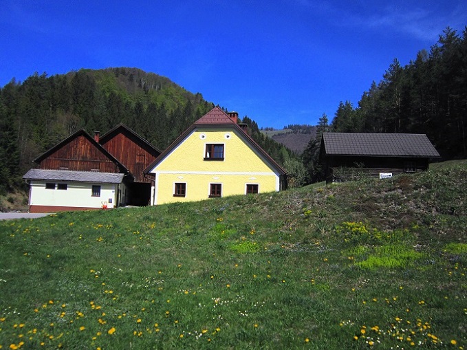 Foto: Andreas Koller / Wandertour / Zur Julius Seitner Hütte am Eisenstein (1185m) / AP Knedelhof / 11.05.2021 01:11:14