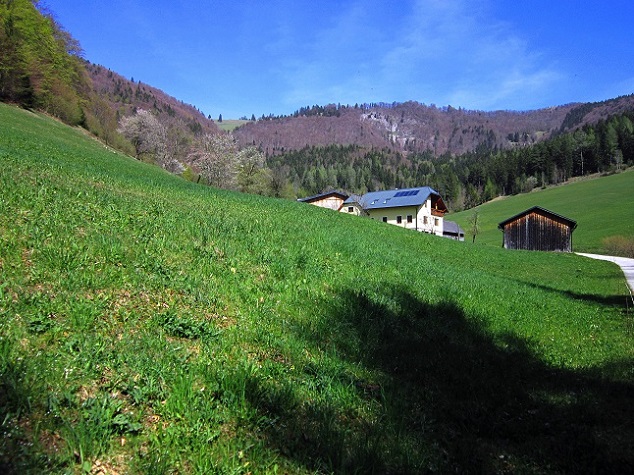 Foto: Andreas Koller / Wandertour / Zur Julius Seitner Hütte am Eisenstein (1185m) / Ortbauer / 11.05.2021 01:10:32