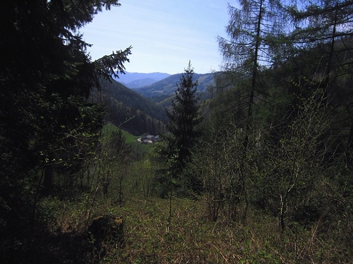 Foto: Andreas Koller / Wandertour / Zur Julius Seitner Hütte am Eisenstein (1185m) / 11.05.2021 01:10:13