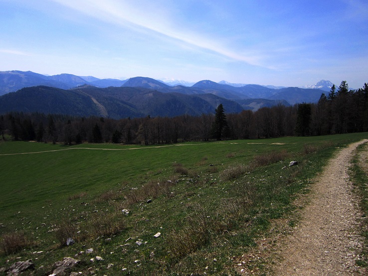 Foto: Andreas Koller / Wandertour / Zur Julius Seitner Hütte am Eisenstein (1185m) / 11.05.2021 01:08:52