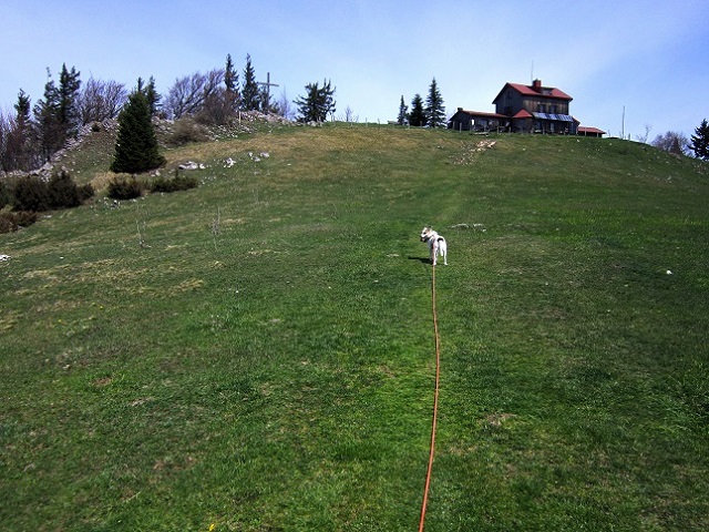 Foto: Andreas Koller / Wandertour / Zur Julius Seitner Hütte am Eisenstein (1185m) / Das Ziel ist in Sicht / 11.05.2021 01:08:32