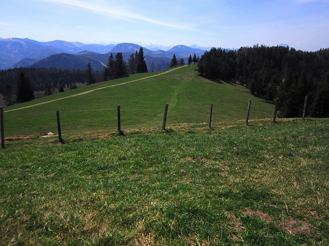 Foto: Andreas Koller / Wandertour / Zur Julius Seitner Hütte am Eisenstein (1185m) / 11.05.2021 01:07:07