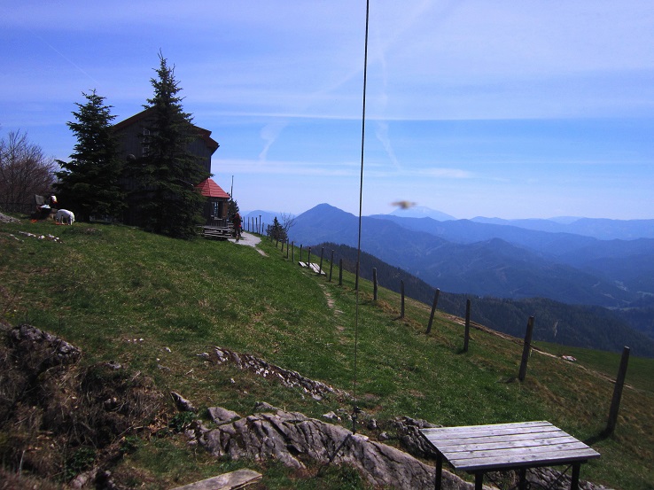 Foto: Andreas Koller / Wandertour / Zur Julius Seitner Hütte am Eisenstein (1185m) / 11.05.2021 01:06:40