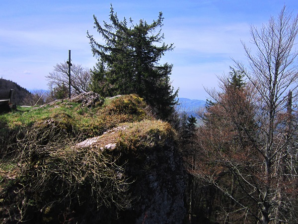 Foto: Andreas Koller / Wandertour / Zur Julius Seitner Hütte am Eisenstein (1185m) / 11.05.2021 01:06:22