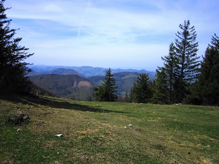 Foto: Andreas Koller / Wandertour / Zur Julius Seitner Hütte am Eisenstein (1185m) / 11.05.2021 01:05:27