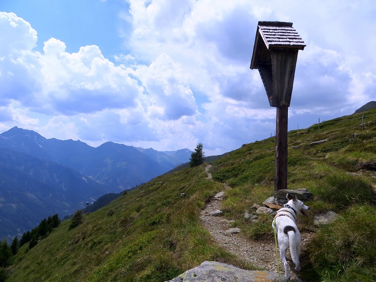 Foto: Andreas Koller / Wandertour / Von der Speikbodenhütte aufs Gritzer Hörndle (2631m) / 15.05.2021 00:40:17