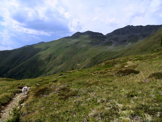Foto: Andreas Koller / Wandertour / Von der Speikbodenhütte aufs Gritzer Hörndle (2631m) / 15.05.2021 00:40:11
