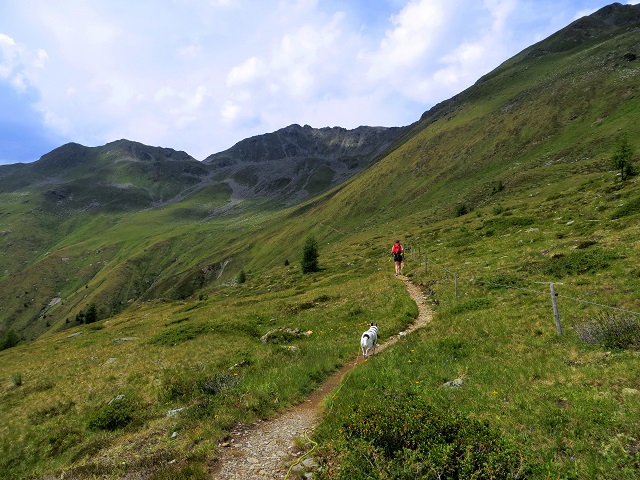 Foto: Andreas Koller / Wandertour / Von der Speikbodenhütte aufs Gritzer Hörndle (2631m) / 15.05.2021 00:40:06