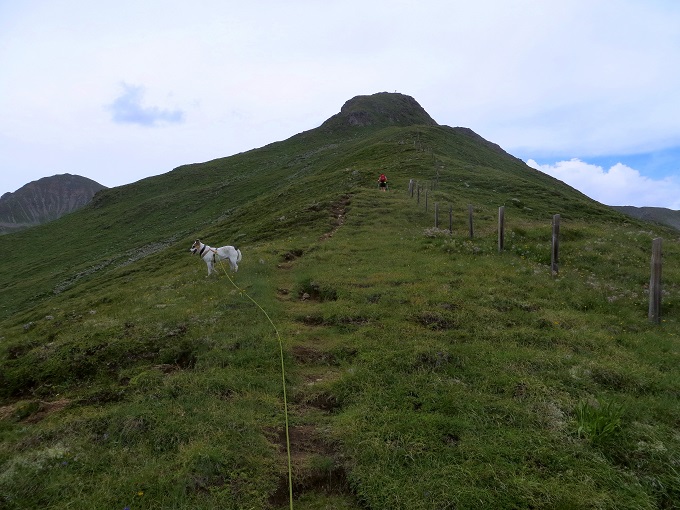 Foto: Andreas Koller / Wandertour / Von der Speikbodenhütte aufs Gritzer Hörndle (2631m) / Gipfelanstieg / 15.05.2021 00:39:36