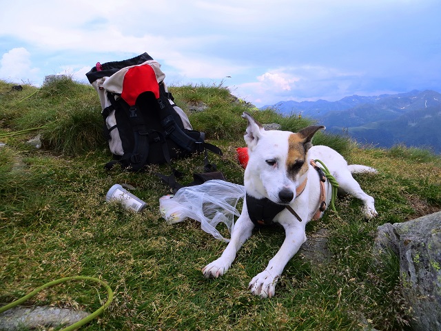 Foto: Andreas Koller / Wandertour / Von der Speikbodenhütte aufs Gritzer Hörndle (2631m) / 15.05.2021 00:38:35