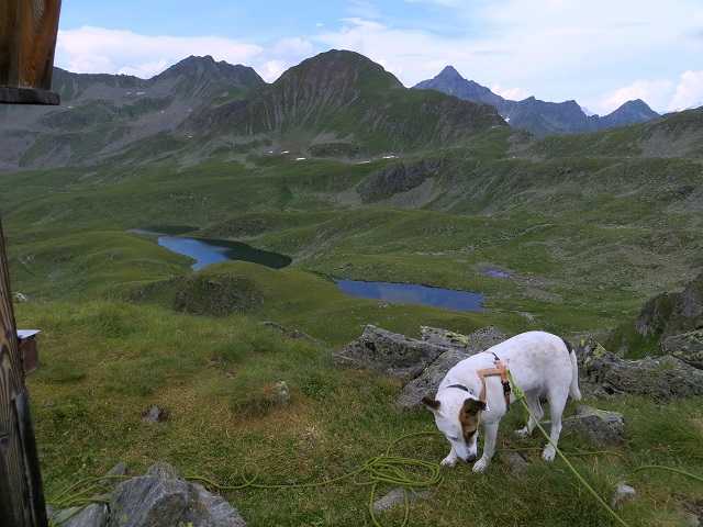 Foto: Andreas Koller / Wandertour / Von der Speikbodenhütte aufs Gritzer Hörndle (2631m) / 15.05.2021 00:38:12