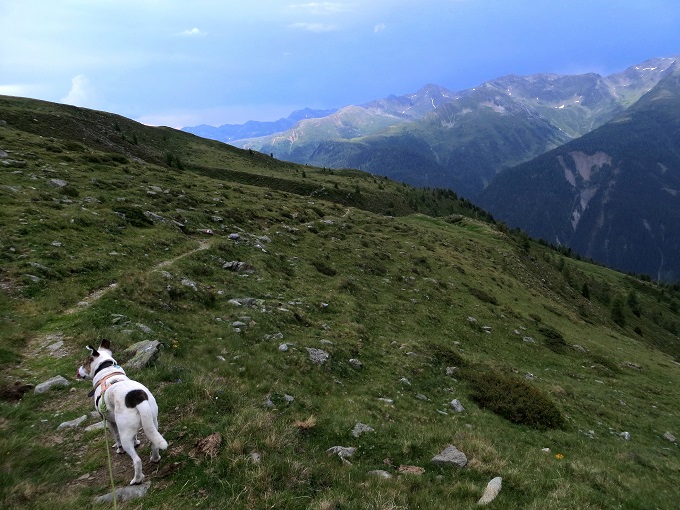 Foto: Andreas Koller / Wandertour / Von der Speikbodenhütte aufs Gritzer Hörndle (2631m) / 15.05.2021 00:36:29