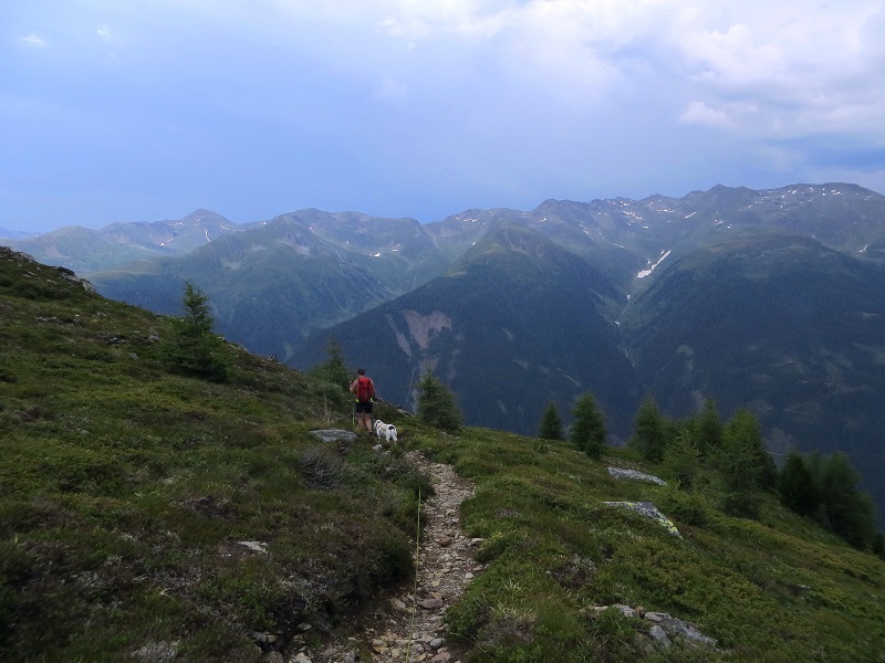 Foto: Andreas Koller / Wandertour / Von der Speikbodenhütte aufs Gritzer Hörndle (2631m) / 15.05.2021 00:36:22