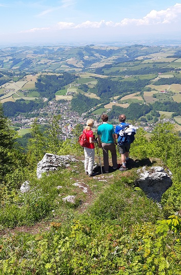 Foto: Wolfgang Dröthandl / Wandertour / Prochenberg von Maria Seesal / Tiefblick auf Ybbsitz / 19.06.2021 13:13:33