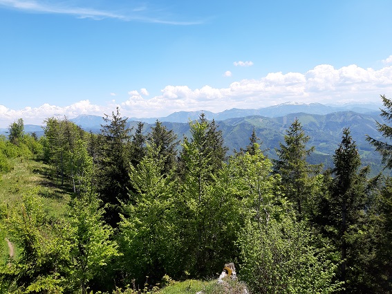 Foto: Wolfgang Dröthandl / Wandertour / Prochenberg von Maria Seesal / Am Horizont Ötscher, Gemeindealpe und Dürrenstein (von links), Blickrichtung SO / 19.06.2021 13:12:54