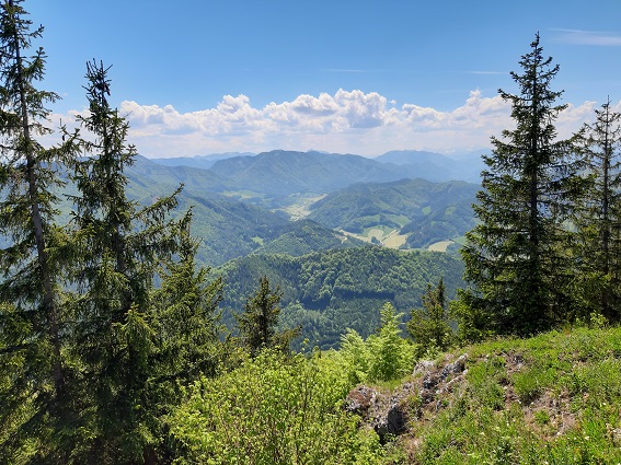 Foto: Wolfgang Dröthandl / Wandertour / Prochenberg von Maria Seesal / Am Horizont Königsberg, Gamsstein, Stumpfmauer und Haller Mauern (von links), Blickrichtung SW / 19.06.2021 13:11:33