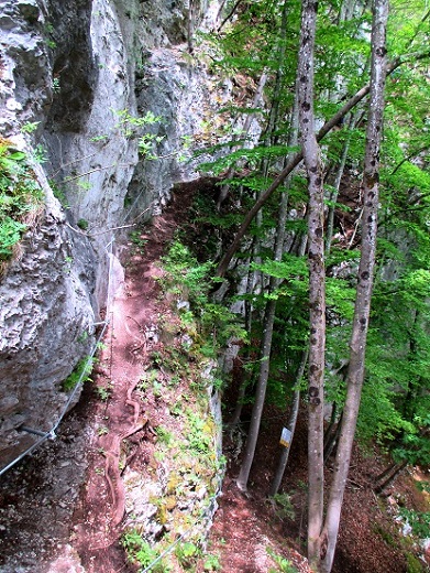 Foto: Andreas Koller / Klettersteigtour / Koschlak Klettersteig Bad Eisenkappel (720m) / Hier kommen die Routen wieder zusammen / 07.06.2021 00:55:28