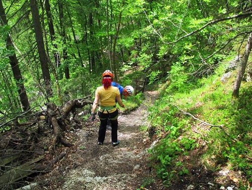 Foto: Andreas Koller / Klettersteigtour / Koschlak Klettersteig Bad Eisenkappel (720m) / Abstieg auf gutem Steig / 07.06.2021 00:53:05