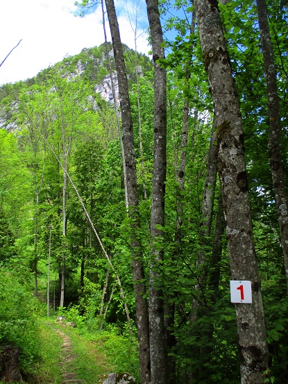 Foto: Andreas Koller / Klettersteigtour / Koschlak Klettersteig Bad Eisenkappel (720m) / 07.06.2021 00:52:42